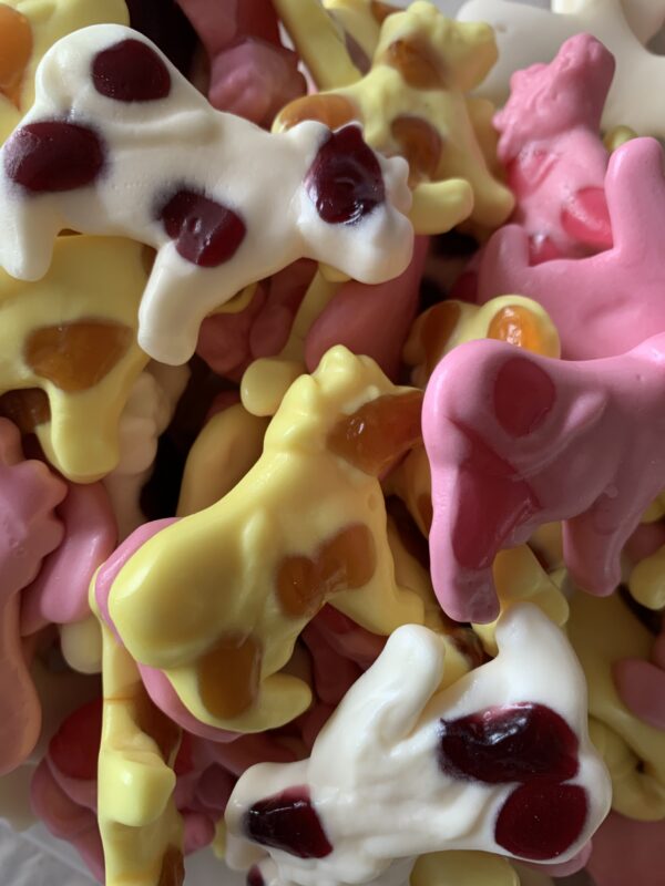 VACHES